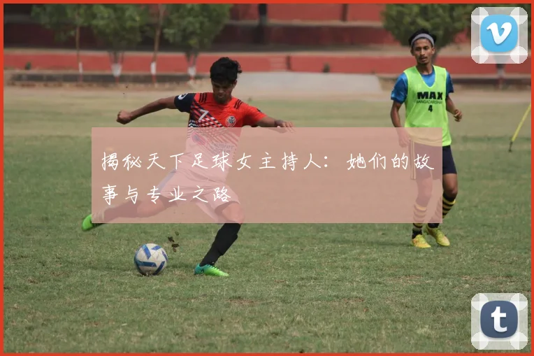 揭秘天下足球女主持人:她们的故事与专业之路
